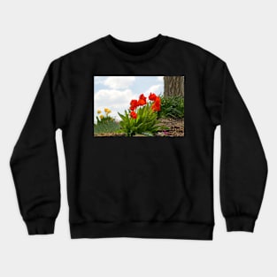 Tulipfire on the horizon Crewneck Sweatshirt